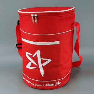 100% Original Esky Cooler Bag - Cooler Bag cl19-06 – Ewin