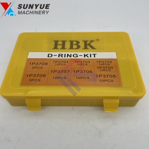 Caterpillar CAT D-Ring-kit Komatsu O Ring Assortment Seal Kit D Ring Box for excavator parts