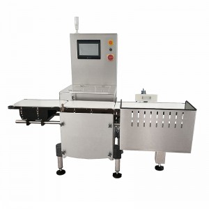 2022 Latest Design Checkweigher Metal Detector Combination System - Fanchi-tech Dynamic Checkweigher FA-CW Series – Fanchi-tech