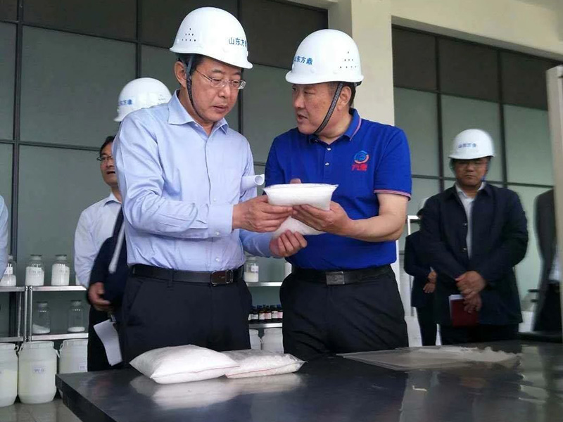 Li Yonghong, deputy secretary of CPC Municipal Committee and mayor of Shandong, went to Fangding for investigation