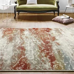 Floral Patterned Carpet Flooring