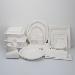 8.75inch Disposable Biodegradable Sugarcane Bagasse Pulp Molding 2 Compartment Paper Plate