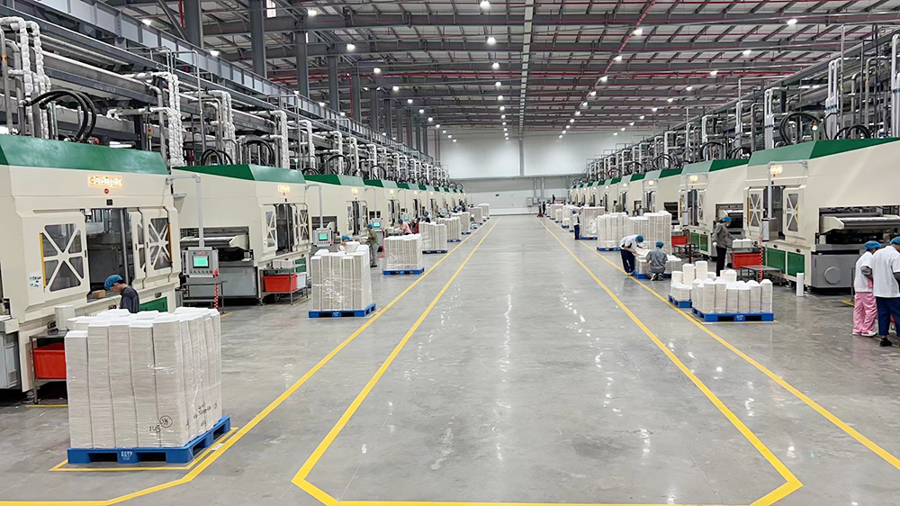 Far East International Environmental Protection Co., Ltd.: A New Era for Global Pulp Molding Tableware Manufacturing！
