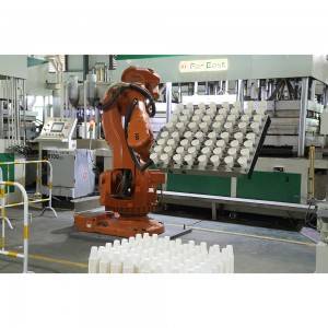 100% Original China Fully Automatic Machine For Making Plant Fiber Food Packaging Box