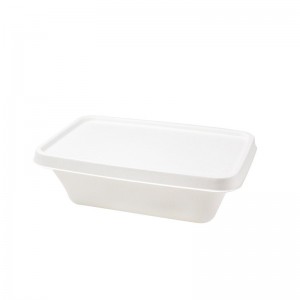 Wholesale 800ML Disposable Biodegradable Sugarcane Bagasse Pulp Food Containers Trays