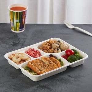 5 Compartment School Lunch Tray