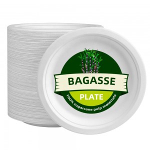 Eco-friendly Compostable Biodegradable Disposable Sugarcane Bagasse Paper Pulp Mould Plates