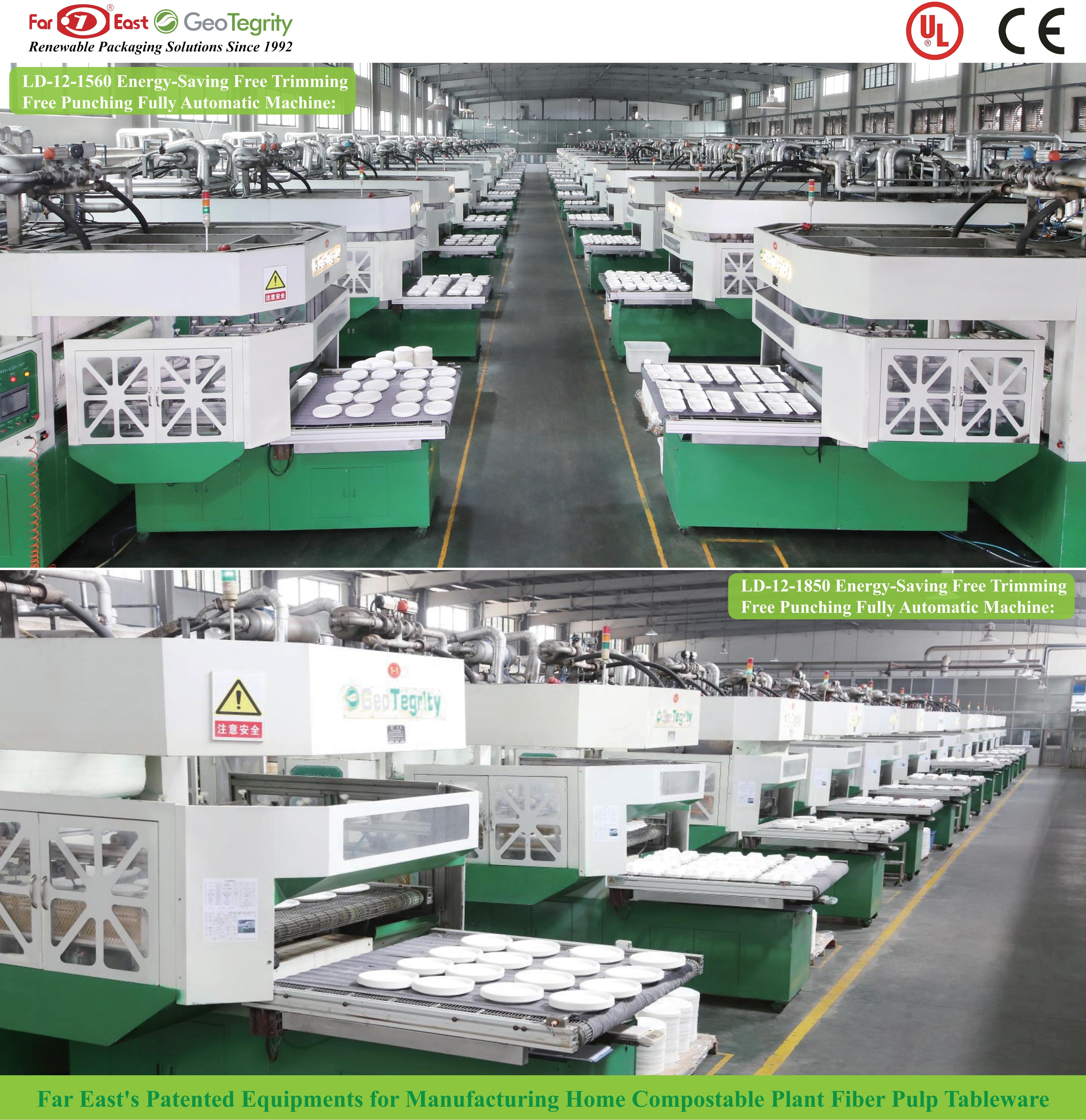 Top Chinese Pulp Molding Machine Manufacturer Since 1992 | Eco-Friendly Packaging Solutions