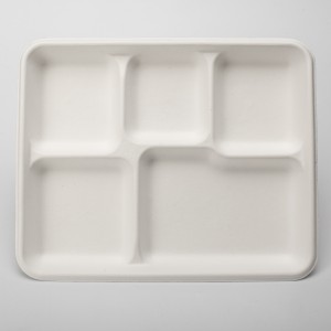 PFAS Free Wholesale Biodegradable Sugarcane Bagasse Pulp 5 compartment Disposable Lunch Tray Plates With Lid
