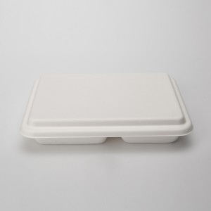 PFAS Free Wholesale  Biodegradable Disposable 4 Compartment Sugarcane Bagasse Paper Pulp Pates Trays With Lid For Food