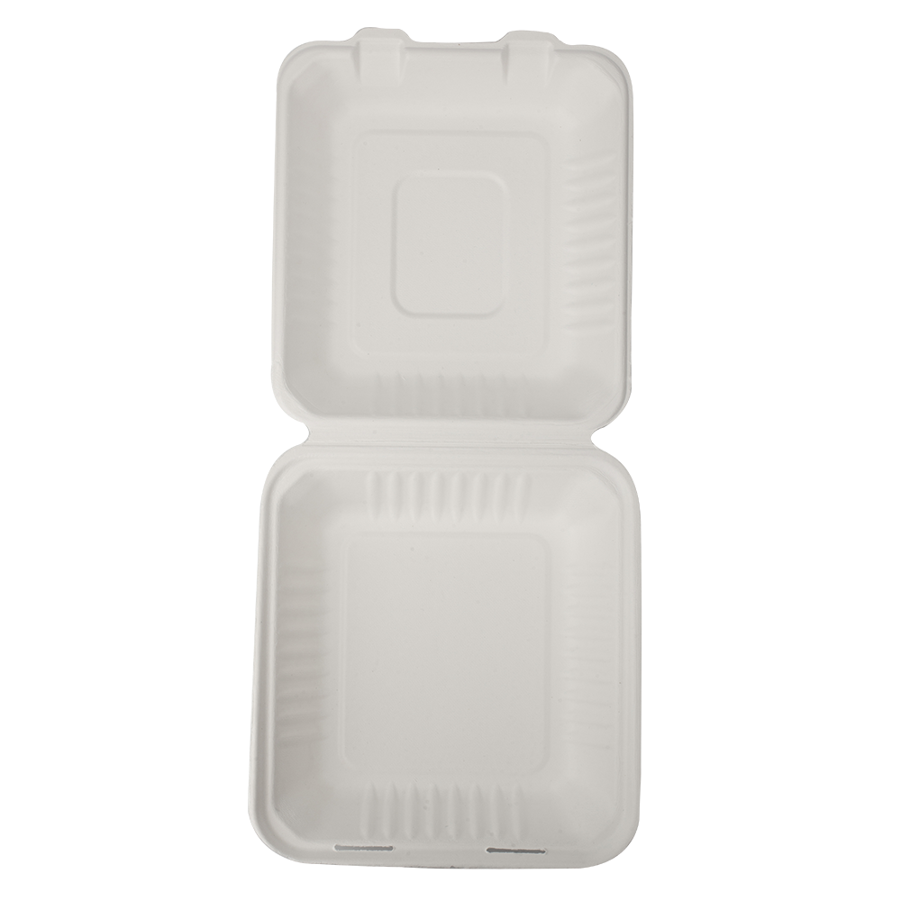 Watsonpak Restaurant Catering Supplier Plant-Based OEM Take Away Wholesale  Takeaway Sugarcane Food Containers with Flat Lids - China Lunch Box,  Packing Box