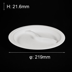 8.75inch Disposable Biodegradable Sugarcane Bagasse Pulp Molding 2 Compartment Paper Plate
