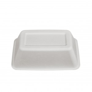 1000ml Wholesale Disposable Fast Food Take Out Packaging Containers Tray With Lids
