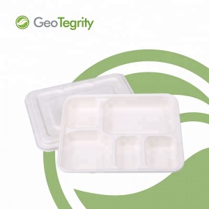 PFAS Free Eco-friendly 5 Compartment Dinner Sugarcane Bagasse Pulp Biodegradable Disposable Tray