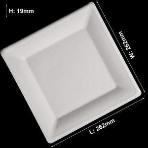 10inch White Square Party Sugarcane Bagasse Pulp Molding Disposable Paper Plate