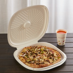 Biodegradable Disposable Take Away Sugarcane Bagasse Pulp Molding Pizza Box