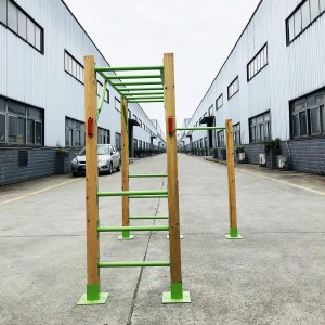 OEM/ODM Factory China Amusement Park Jungle Gym Metal Pipe Stair Climbing Wheelchair Outdoor Monkey Bars for Kids