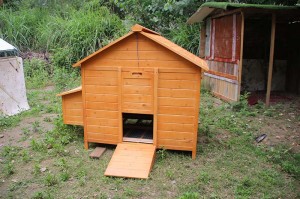Luxury waterproof wooden chicken coop or wood poulty house at outdoor and indoor