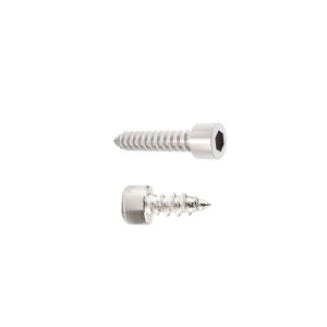 Chess head self tapping screws