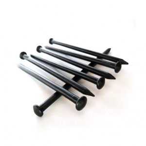 OEM Customized Galvanized Plain Common Steel Nails