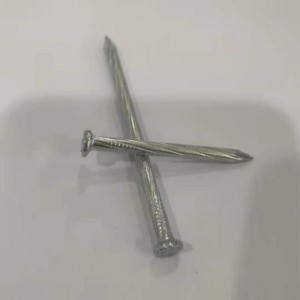 Online Exporter 2.5″ Galvanized Umbrella Roofing Nail para sa Roofing