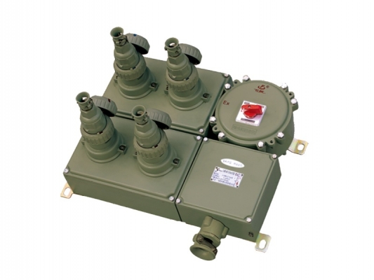 G58-C series Explosion-proof illumination (power) distribution box (power maintaining socket box)