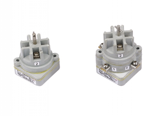 8008/2 series Explosion-proof control switch
