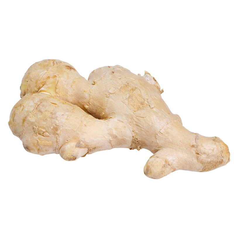 Factory wholesale high quality fresh ginger daily ingredients pickled seasoning ginger supplier