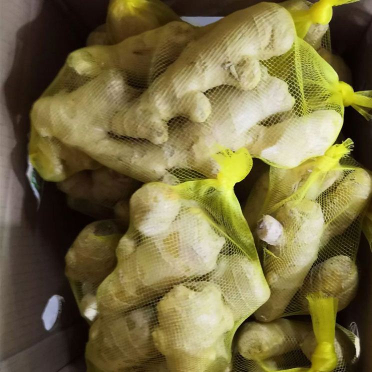 Big discounting Bread Crumbs Panko - 2020 china fresh ginger 20KG up in mesh bag Laiwu ginger – Feifan