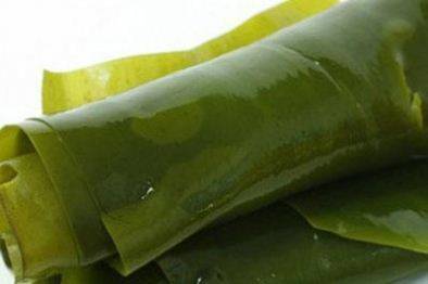 Wholesale Price Frozen Salted Wakame Seaweed - Wholesale best quality price dried kombu – Feifan