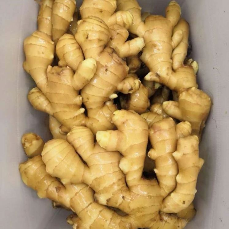 Factory Promotional Tempura Battering Mix - 2020 The mighty fresh ginger and it unbelievable health benefits with super quality – Feifan