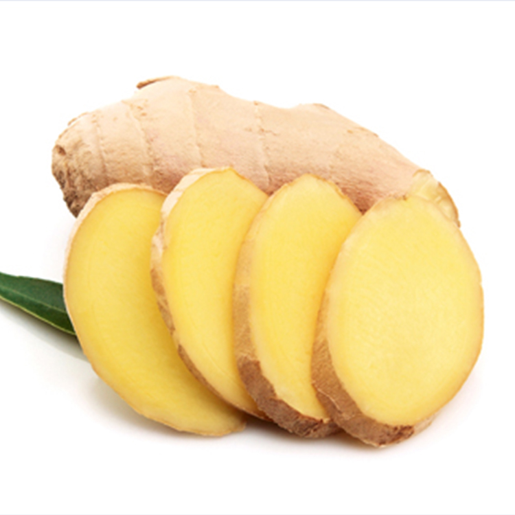 Chinese high quality fresh ginger raw materials dried ginger in season