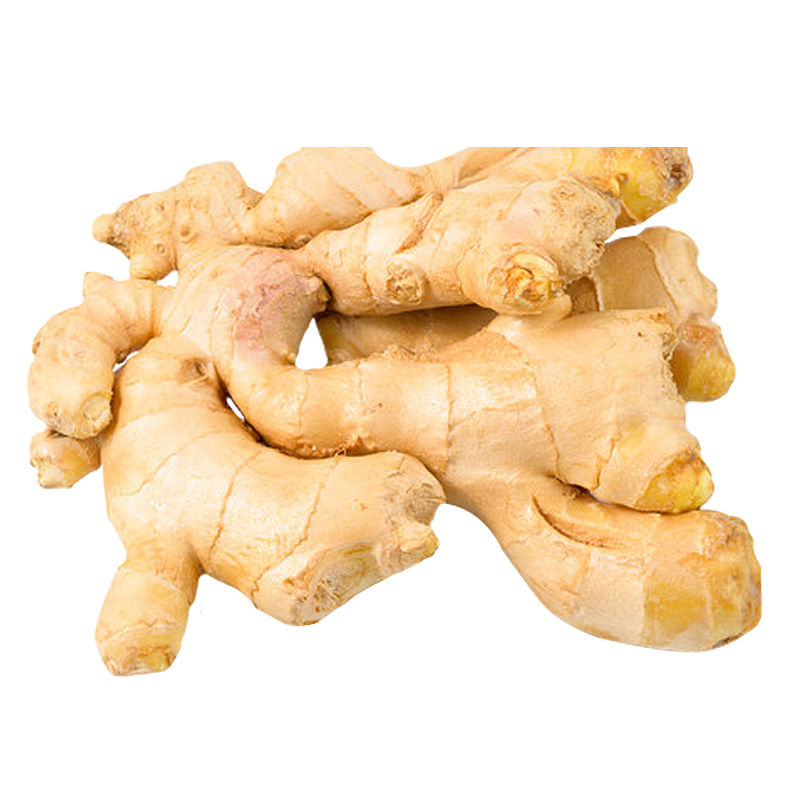 Export high quality fresh ginger seasoning ginger vegetable ginger