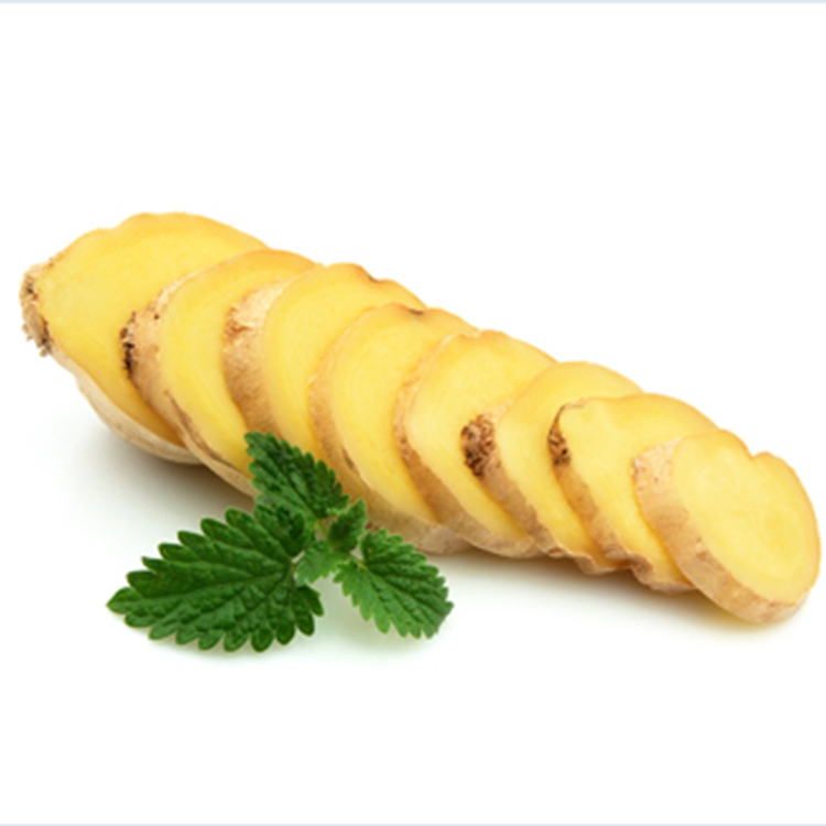 Supply fresh organic ginger new crop in bulk Meet EU Standard Fresh Ginger And Air Dried Ginger