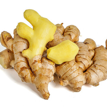 price of fresh ginger Chinese in new crop production area
