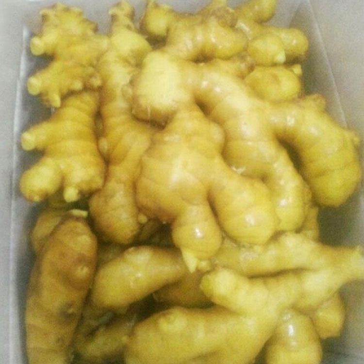 High definition Dried Potatoes Harusame - Wholesale organic fresh ginger price from China newest crop – Feifan
