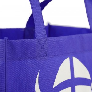 Factory Supplier wholesale PP Non Woven Shopping Bag china non woven bag