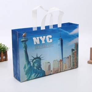 Custom Laminated PP Non Woven Printed Grocery Shopping Ultrasonic ultrasound Bag