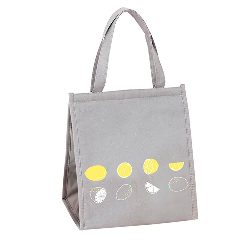Cooler Bag For Medicine - Nylon Outdoor Foldable Cooler lunch Bag with velcro – Fei Fei