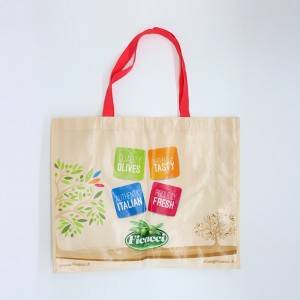 Factory Free sample Custom Shopping Bag Fabric - Recycle custom design laminated PP non woven shopping bag – Fei Fei