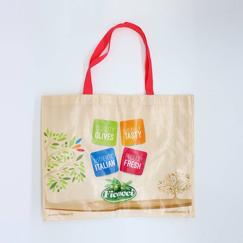 Reusable Shopping Bags Logo - Recycle custom design laminated PP non woven shopping bag – Fei Fei