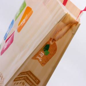 Recycle custom design laminated PP non woven shopping bag