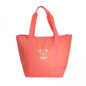 Canvas Shopping Bag Fashion - Non Woven Thermal Insulated Lunch Cooler Shopping Bag – Fei Fei