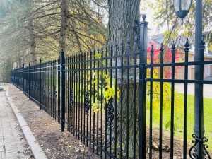 Beautiful ornamental black fence panel