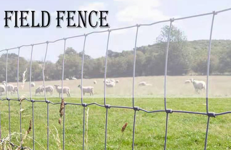 Field Fence