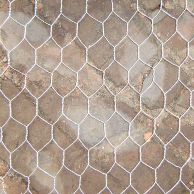 Renewable Design for Chicken Wire Around A Garden - Galvanized Hexagonal Chicken Wire Netting for Animal Mesh – FENGYUAN detail pictures
