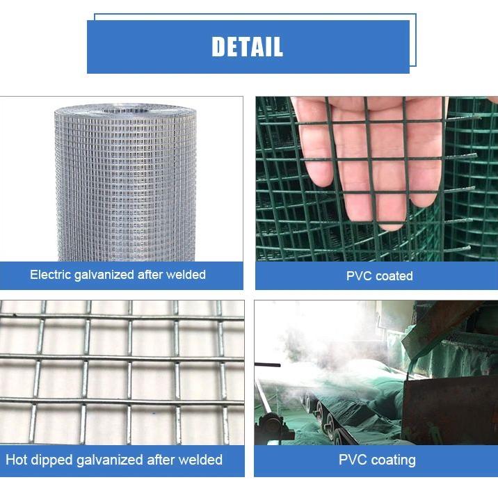 High Quality and Cheap Steel Metal PVC Coated Welded Wire Mesh