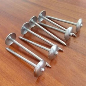 Best Price for Roofing Roofing Nails - Umbrella Head or Color Head Galvanized Roofing Nail with Washer or Without Washer Smooth or Twisted Shank – FENGYUAN