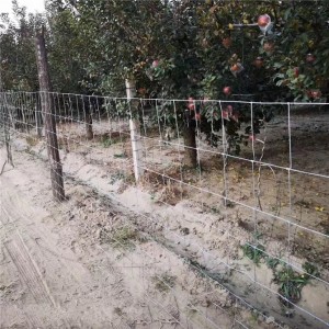Reliable Supplier Wild Hog Wire - Agricultural Fencing-Galvanized Field Fence – FENGYUAN