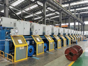 Other customized production lines